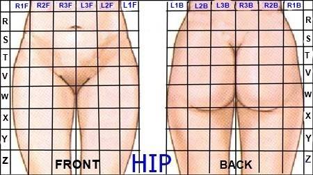 exercises for hip post 8 weeks<