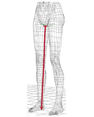 leg length measuring 5.gif