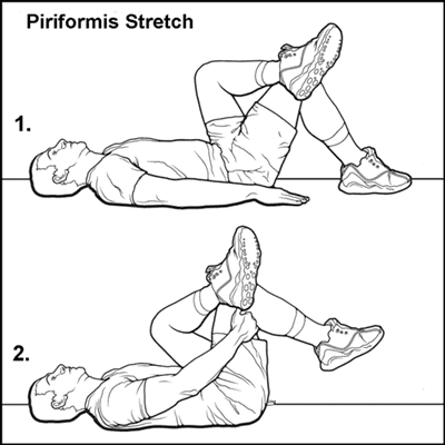 Piriformis stretch.png
