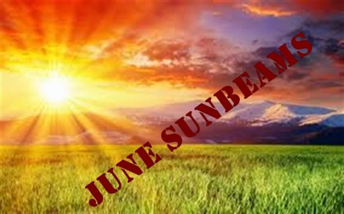 2015 June Sunbeams - are you having hip surgery in June?