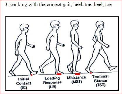 Walking with correct gait.JPG