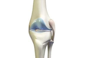 Anatomic Knee