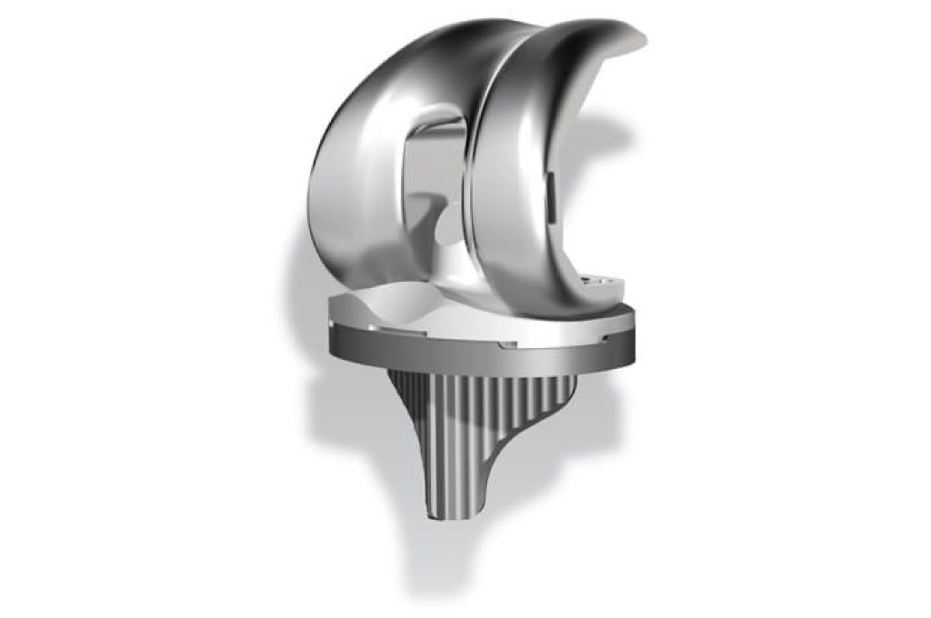 Stryker Triathlon Knee